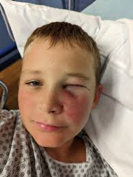 Auburn university tigers show devotion and spirit