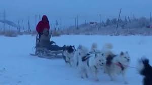 Husky Kizak Youtube