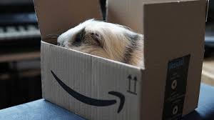 Primevideo.com has been visited by 100k+ users in the past month How To Get Amazon Prime For Free In India The U S Streaming Delivery