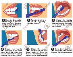 Como Limpiar Superficies De Los Dientes De La Boca Humana Usando Cepillo Y Pasta De Dientes Espectaculo Forma Correcta De Angulo De Direccion Balanceandose Esferico Paso A Paso Los Movimientos Util Para