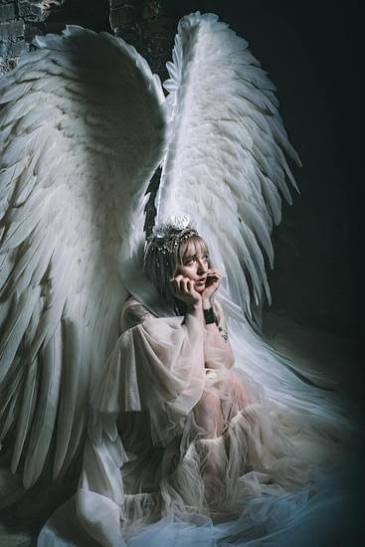 Angel photos and images | Canva