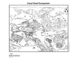 Supercoloring.com is a super fun for all ages: 31 Free Coloring Pages Websites For Kids Adults