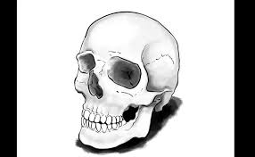 Some of the easy drawing templates include penguins, puppies, panda bears, skulls and various other patterns and designs. How To Draw A Skull Yomya