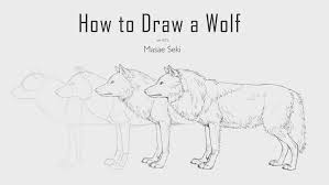 This week we have a extra special guest on the channel, my friend bitters! How To Draw A Wolf Creative Bloq