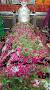 Video for Mira Datar Dargah contact number