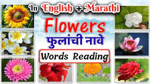 10 flowers name in english. Flowers Name In English And Marathi With Spelling à¤« à¤² à¤š à¤¨ à¤µ Learn Flowers Name Flowers Youtube