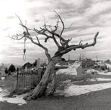 Pastoral scene of the gallant south bulging eyes and the twisted mouth scent of magnolias, so sweet and fresh then the sudden smell of. Strange Fruit Connection To Think About A Mockingbird