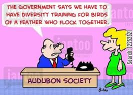 Birds Of The Same Feather Flock Together Meaning In Tagalog The Government Says We Have To Have Diversity Training For Birds Of A Feather Who Flock Together Bird Feathers Opposites Attract Flocking