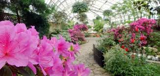 Visit como town's website for all the info! Lincoln Park Conservatory Chicago Park District