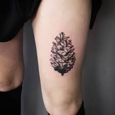 75 Einfache Und Einfache Kiefer Tattoo Designs Bedeutungen 2018 Bedeutungen Designs Einfache Kiefer T Kiefer Tattoo Pine Tattoo Baum Tattoo Designs