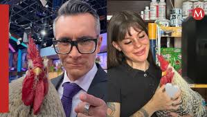 Muere gallo que se volvió viral en Venga la Alegría; redes reaccionan-  Grupo Milenio