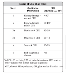 Renal failure is particularly high in the setting of paracetamol ingestion, as it can directly damage the kidneys. 2 For People With Chronic Kidney Disease Glomerular Chegg Com