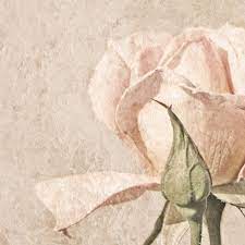 See more ideas about rose painting, vintage roses, rose. Vintage Rose Painting By Brooke T Ryan