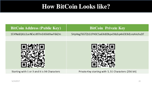 Block explorer and the most powerful api for btc, eth, xrp, xlm, bch, ltc, dash, bsv, doge, grs and ton that allow you to find, sort and filter transactions and addresses. Litecoin Mining Requirements Lost Bitcoin Private Key
