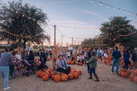 Hall's pumpkin farm and corn maze. Hall S Pumpkin Farm The Best Pumpkin Patch Near Dallas