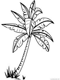 Palm tree pdf downloadable coloring page kimberlygarvey 5 out of 5 stars (10) $ 1.75. Palm Tree Coloring Pages Tree Nature Palm Tree 1 Printable 2021 579 Coloring4free Coloring4free Com
