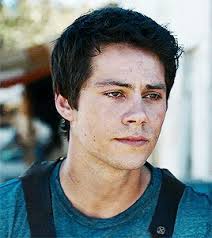 Check spelling or type a new query. 100 Dylan Gifs Ideas Dylan Dylan O Brien Dylan O
