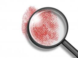 Image result for investigate jamaica gleaner