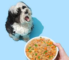 Subscribers (and pets!) unanimously agree, petplate hits the spot. Pet Plate Review 2021