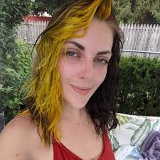 Loose shepherds spotted near Gettysburg Court area