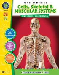 From muscles and bones to organs and systems, your guide. Cells Skeletal Muscular Systems Gr 5 8 Pdf Download Download Susan Lang 9781553197959 Christianbook Com
