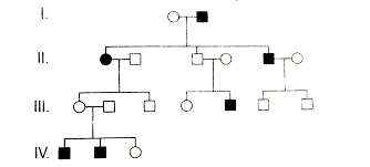 Genetics pedigree worksheet answer key, genetics pedigree worksheet answer key and pedigree charts worksheets answer key are some main things we will present to you based on the gallery title. In The Following Human Pedigree The Filled Symbols Represent The Affected Individuals Identify The Type Of Given Pedigree Img Src Https D10lpgp6xz60nq Cloudfront Net Physics Images Arh 31y Neet Bio C29 E01 017 Q01 Png Width 80