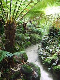 The Lost Gardens Of Heligan Cornwall Garden Visits Lost Gardens Of Heligan Lost Garden