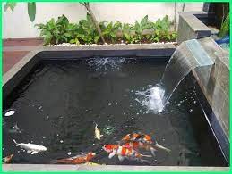 Oleh sebab itu di artikel kali ini kita akan membahas tentang cara membuat filter di kolam koi. Pin Di Kolam Taman