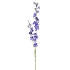 Div The July A Href Http Www Teleflora Com Birthflowers Asp Data Mce Href Http Www Tele Larkspur Tattoo Birth Flower Tattoos Delphinium Tattoo
