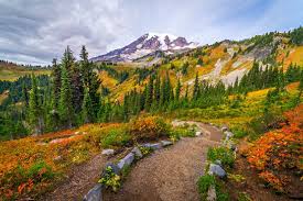 It is located against the southern rim of the mono basin, 12.5 miles sout. 12 Top Rated Hiking Trails At Mount St Helens Planetware