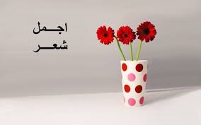 أجمل شعر عربي منوع ورسائل شعر قصيرة planter pots planters