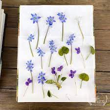 Wait four weeks to open the book to retrieve your dried flower. How To Press Flowers With Books Jennifer Rizzo
