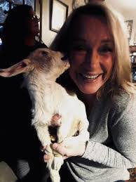 Anne Kall's Instagram, Twitter & Facebook