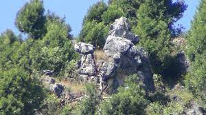About 3kms from 'the mall'. Sterling Holidays Blog 5 Things You Didn T Know About The Camel S Back Road In Mussoorie