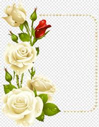 Check spelling or type a new query. Beige And Red Rose Flowers Illustration Rose Frame White White Roses With Pearls Card Purple Blue Flower Arranging Png Pngwing