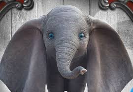 Übersicht aller sendungen, spielfilme und shows von gestern abend bei tv today Ab Heute In Den Kinos Elefant Dumbo Ist Zuruck