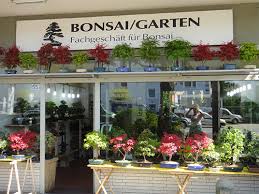 Bonsai Garten Wolf Tunnat