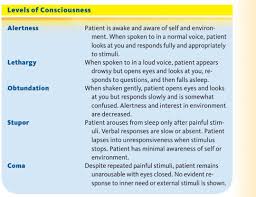 Image result for Level of Consciousness