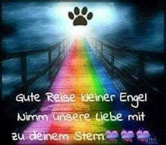 Regenbogenbrucke Regenbogenbrucken Hund Regenbogenbrucke Trauer Um Hund