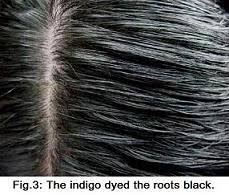 Your hair will express a super dark brown to rich black (depends on starting color: Sunnyvale Natural Hair Color Henna Indigo For Hair Dye Hair Brown Black