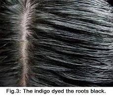 It has been used to dye hair and clothes for thousands of years. Sunnyvale Natural Hair Color Henna Indigo For Hair Dye Hair Brown Black