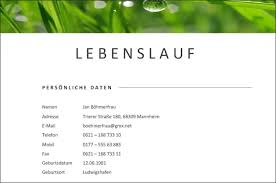 Dein lebenslauf muss kurz und übersichtlich gegliedert sein und auskunft zu deiner person, zu deinem schulischen und ggf. Bewerbung Familienstand Im Lebenslauf Angeben
