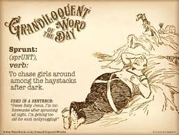 Grandiloquent Word Words Word Of The Day Unusual Words