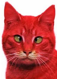 Pin On Red