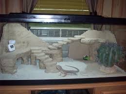 9eb54bdf87fbbbfae02d912014d01a1d Jpg 900 675 Baby Bearded Dragon Bearded Dragon Terrarium Bearded Dragon Habitat