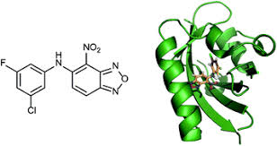 Hif welcomes calls through the national relay service if you are deaf, have a hearing impairment and/or speech impairment. Hypoxia Inducible Factor Hif As A Model For Studying Inhibition Of Protein Protein Interactions Chemical Science Rsc Publishing