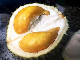Hijaukan Com Taman Buah Buah Kacang