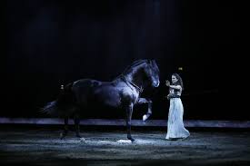 Die unverschämte chefin vom schwarzen hengst erzogen downloade das hörbuch gratis. Cavalluna Legende Der Wuste Prinzessin Samira Und Der Schwarze Hengst Horses Show Horses New Shows