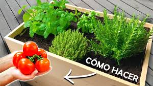 2.1 elegir el tipo de alimentos y su cantidad. Como Hacer Un Huerto Urbano En Casa Youtube