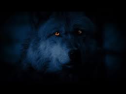 It was a major point of confusion and speculation at the time. Wolf Looking Around At Night With Glowing Eyes Stock Footage Videohive Youtube